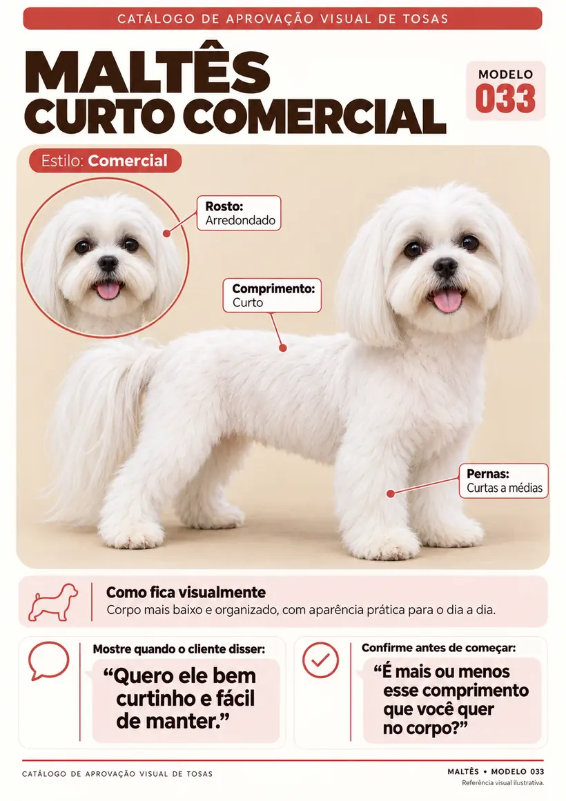 Folha demonstrativa 2