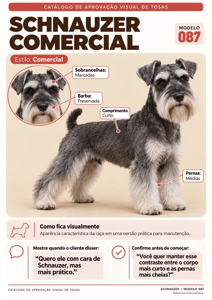 Folha demonstrativa 4